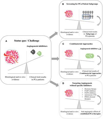 Angiogenesis as Therapeutic Target in Metastatic Prostate Cancer – Narrowing the Gap Between Bench and Bedside